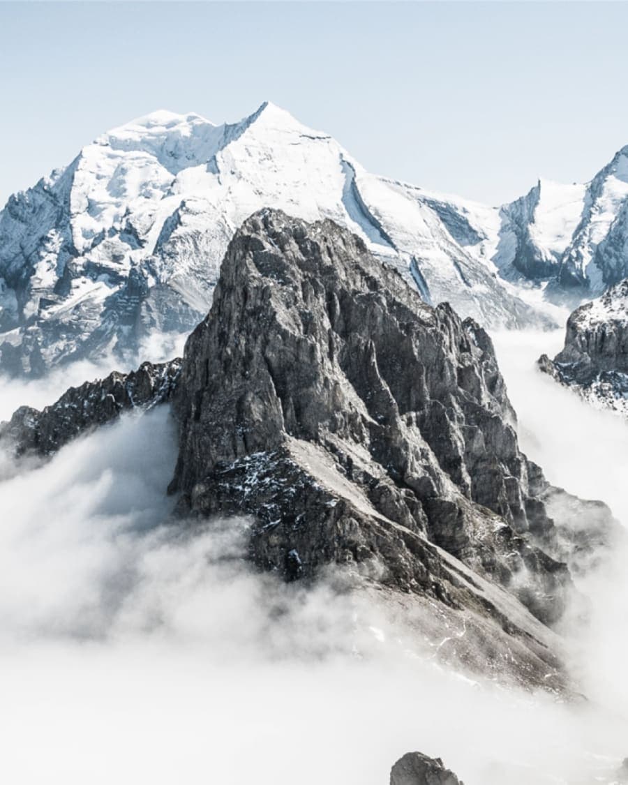 Visual Identity image 3